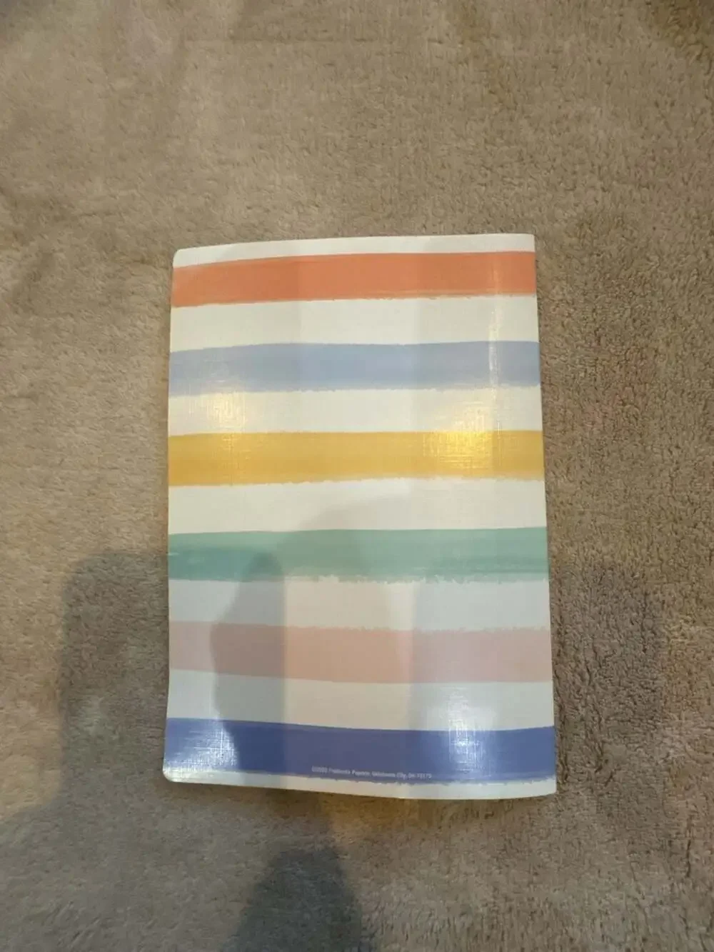 Fiddlestix Paperie Choose to Find Beauty Every Single Day Striped Journal Notebo